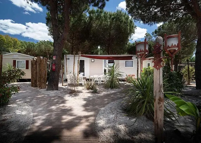 4 Etoiles - Parc Aquatique - Ccaffga 营地 阿格德