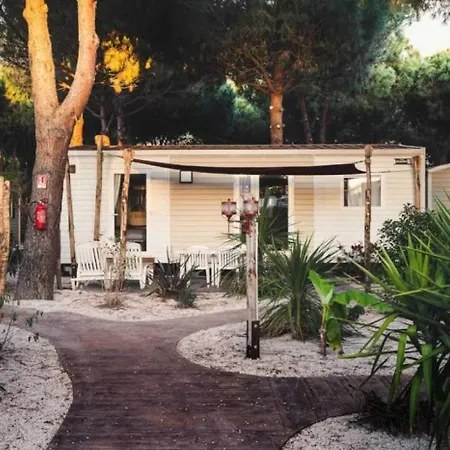 Zecamping 4 Avec Parc Aquatique Club Enfant Animations Sauna Hammam Campsite Agde